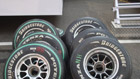formula1_hungaroring_2011_06.jpg